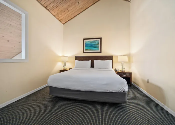 Resort Inn&suites Clearwater S-harbourside 3*